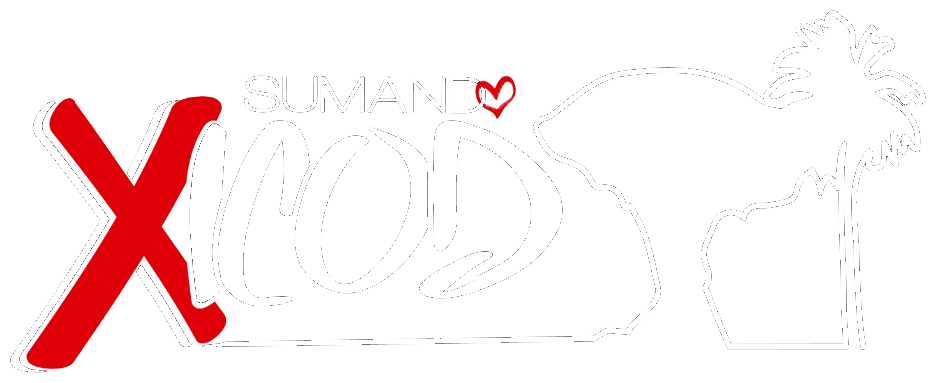 Logotipo Sumando X Icod